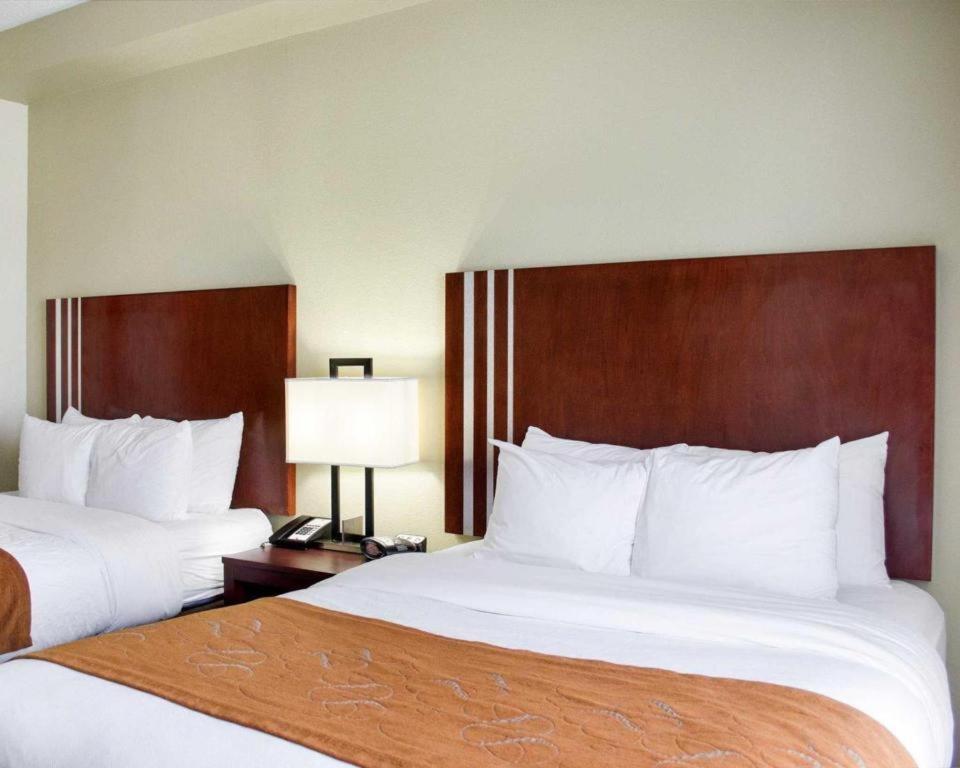 คอมฟอร์ต สวีตส์ Hotel กรีนวูด ภายนอก รูปภาพ
